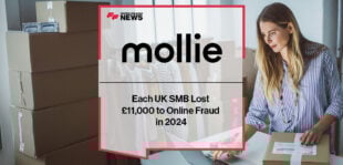 Each UK SMB Lost £11,000 to Online Fraud in 2024