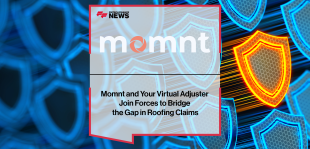 Momnt