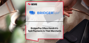 BridgerPay