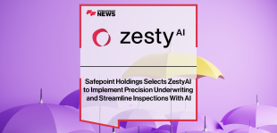zesty ai